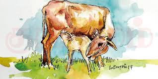 Image result for கிளிநொச்சி திருவையாறு கிராமம்