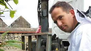 Sauvons les abeilles noires de Sologne