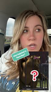 Replying to @Sammii #shrek #shrekfan #shrekfantheory #movietheory #pop...