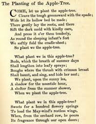 Via Tumblr Small Poems Apple Poems