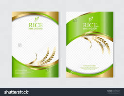 Rice Food Or Thai Food Banner And Poster Template Vector Design Modele De Brochure Modeles D Affiches Image Vectorielle