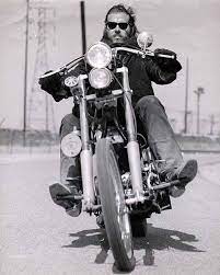 We did not find results for: Terry The Tramp Old School Motorcycles Motorcycle Gang Vintage Biker