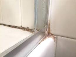 However, you can't avoid soap scum if you use bar soap. The Hygienic Bathroom How To Clean Mold And Mildew From Shower Caulk Xcleaning Net Your Cleaning Tips