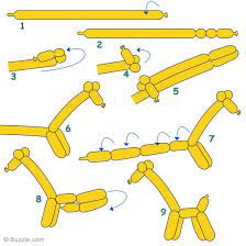 You can be top dog among your friends once you master the wiener dog how to make a wiener dog balloon: Step By Step Instructions To Make Balloon Giraffe Balloon Animals Easy Balloon Animals How To Make Balloon
