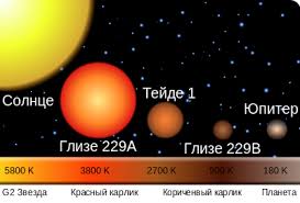 Zhizneprigodnost Planety Vikipediya