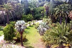 Antibes Le Tour Du Monde Des Jardins A La Villa Thuret Jardins Tour Du Monde Antibes