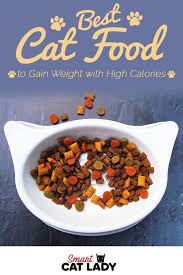 Best Cat Food To Gain Weight With High Calories Best Cat Food Food Cat Nutrition