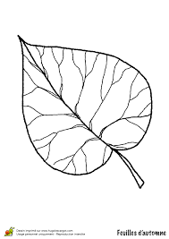Coloris noir et blanc chiné. Epingle Sur Coloriages Dessins D Automne