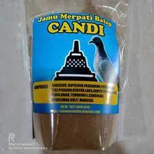 Demikianlah artikel tentang cara melatih burung. Jamu Merpati Getakan Agar Terbang Tinggi Shopee Indonesia