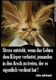 Lustiges taschenbuch ltb 490 cool bleiben. Cool Witzig Knuddelig Praktisch Oder Einfach Nur Inspirierend Spruche Lustige Spruche Witzige Bilder Spruche