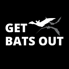 Gutter cleaning service in fort wayne, indiana. Get Bats Out Fort Wayne In Home Facebook