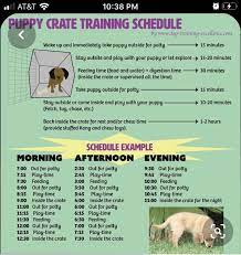 Schedule your feeding schedule around when your puppy needs to relieve themselves. Pin By Mary Maruscak On Dog Stuff Crate Training Puppy Schedule Water Time Feeding Time