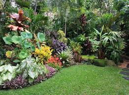 Garten Ideen Beet Gestaltung Tropisches Gewaechs Rasen Tropischer Garten Tropische Gartengestaltung Vorgarten