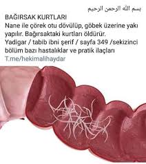 Sevilayylmz50 Adli Kullanicinin Altarnatif Tip Panosundaki Pin Dogal Saglik Dogal Guzellik Ipuclari Evde Hazirlabilen Ilaclar