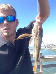 Robin Fish's Instagram, Twitter & Facebook