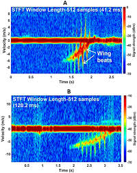 Maybe you would like to learn more about one of these? Radar Micro Doppler Signatures Of Drones And Birds At K Band And W Band Scientific Reports