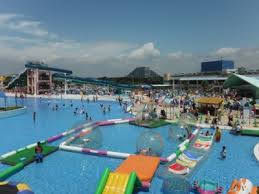 稲毛海浜公園プール 千葉県 の情報 ウォーカープラス