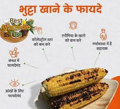 Best Ayurvedic Tips You Tube Channel Home Health Remedies Food Health Benefits Natural Health Tips