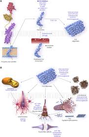 In november 2020, a panel of outside experts for the fda concluded that a pivotal study of aducanumab failed to show strong evidence that the drug worked and suggested that the fda not. Alzheimer S Disease Drug Development Pipeline 2017 Cummings 2017 Alzheimer S Amp Dementia Translational Research Amp Clinical Interventions Wiley Online Library