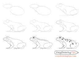 Look at these great step by step pictures! How To Draw A Frog Step By Step Tutorial Easydrawingtips