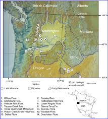 Digital Elevation Map Of Pacific Northwest Showing Fossil