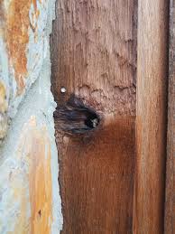 Just think, a wall 400 years old was built. Removing Honeybees From A Wall Of A Log Cabin In Mccaysville Southeast Bee Removal
