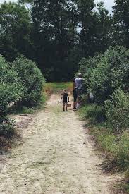 Image result for tbn:0PJB32OL7JwfOM::farm4.static.flickr.com/3324/3329876139_f2d551139f.jpg