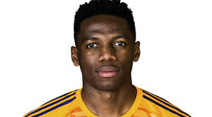 PROVISIONALLY PICKED: Long, Adams, Johnson, Pulisic