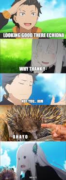 Looking Good Echidna Cultofechidna Anime Irl Echidna Anime