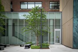 Celebrating World Landscape Architecture Month