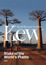 Not overly sweet, yet delicious and easily assumed into different drink concepts. State Of The World S Plants 2017 Royal Botanic Garden Kew By Fernando Ruz Chileangarden Issuu