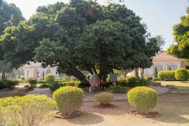 Ysskendra Litchi Vedi Yogoda Satsanga Sakha Math Ranchi The headquarters of yss, yogoda satsanga math, is situated on the banks of the ganges at dakshineswar, near kolkata, with a branch headquarters at. yogoda satsanga sakha math ranchi