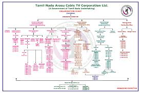 30 actual organisation chart of a public limited company