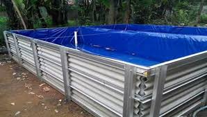 Teknik Budidaya Lele Sangkuriang Kolam Terpal Peluang Usaha Terbaru