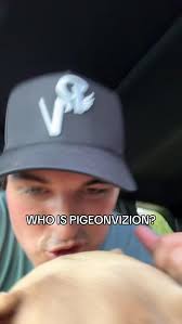 Who is pigeon?