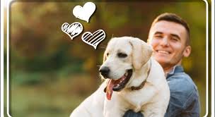 Последние твиты от pet sitter como (@petsittercomo). Pet Sitter Voce Ja Ouviu Falar Nesse Profissional Blog Da Maria Brasileira