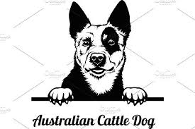 12 toppers for every style of christmas tree. Australian Cattle Dog Decal Peeking Smiling Dog Breed Full Color Sports Outdoors Handmade Products Kmotors Co Th