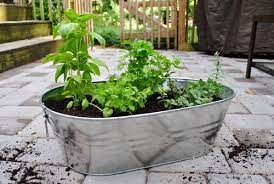 Making An Herb Garden In A Metal Tub Young House Love Herb Garden Pots Patio Herb Garden Container Herb Garden
