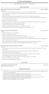 Software Applications Developer Resume Sample Mintresume