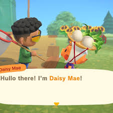 Animal Crossing New Horizons Best Turnip Prices: How To Sell Turnips To  Play The Stock Market | Vg247