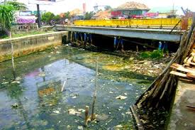#foto aliran sungai cikarang bekasi laut (cbl) tercemar limbah. Lukisan Sungai Tercemar Cikimm Com