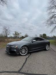 Image result for Suzuka Gray 2014 RS5