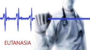 Eutanasia ✓ te explicamos qué es la eutanasia, en qué países es legal y qué tipos existen. Proposicion De Ley Organica Para Regular La Eutanasia Y Sus Disposiciones Ultimas Noticias Y Actualidad Juridica El Rincon Legal