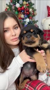 Baby KODI💚before his trip to New York USA 🇺🇸 to enjoy his life with Phil  Ledesma and his family 😍❤️❤️❤️