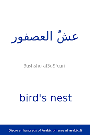 Bird S Nest Arabic Phrases Learning Arabic Arabic Lessons