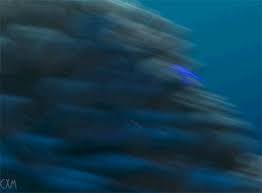 Whale, whale, what have we here? Finding Nemo Gif Graphics Love