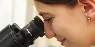 Courier Fall/Winter 2017