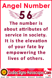 Angel Number 56 Meaning Elevating Your Fate Through Others Angel Numbers Meant To Be Number Meanings