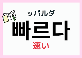 速い』を韓国語で？【빠르다】活用と語尾一覧|１５種類をおぼえる！ | まるまるコリア～もっと韓国