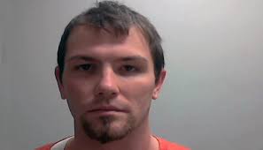 Pattonsburg man handed 7-year prison sentence for endangering child and  domestic assault